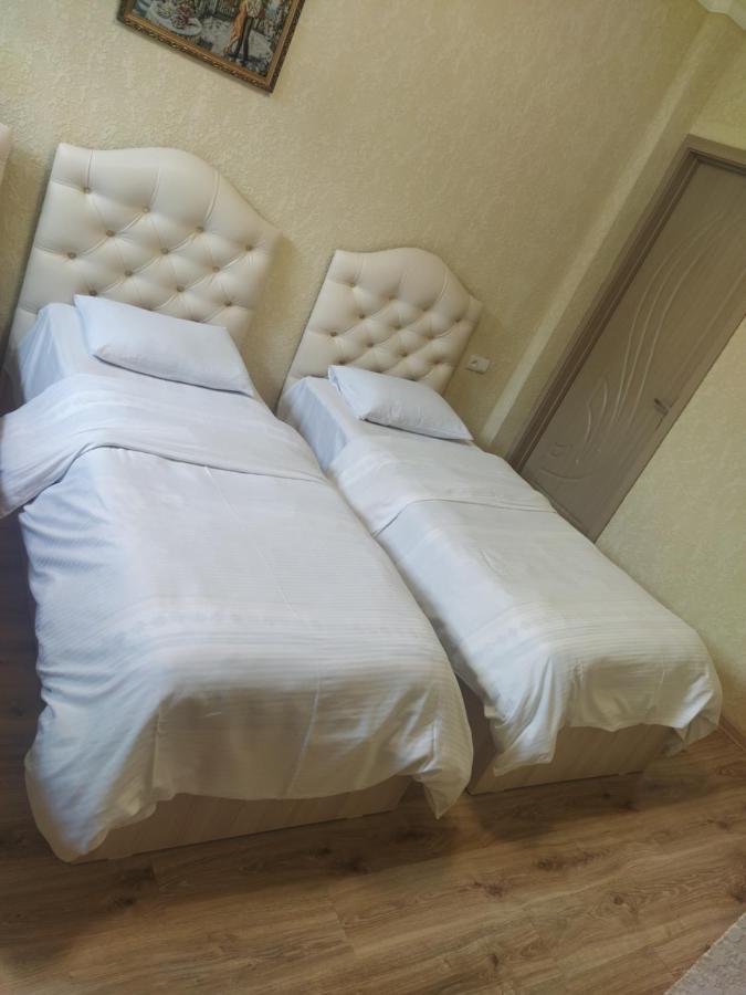 Hotel Vladi クタイシ エクステリア 写真